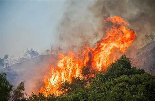 Revoca dichiarazione stato di massima pericolosità per gli incendi boschivi su tutto il territorio regionale del Piemonte a partire dal giorno 18 agosto 2022